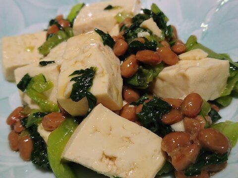 チンゲン菜と納豆腐
